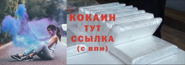 хмурый Мегион