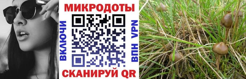 кракен ONION Арзамас Галлюциногенные грибы Magic Shrooms